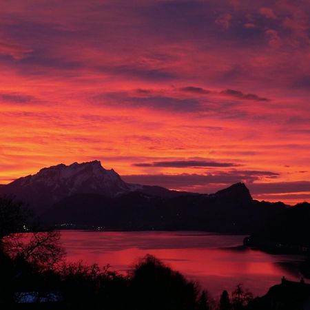Appartement Seelewaermerli - Balsam Fuer Ihre Seele Seelisberg Esterno foto