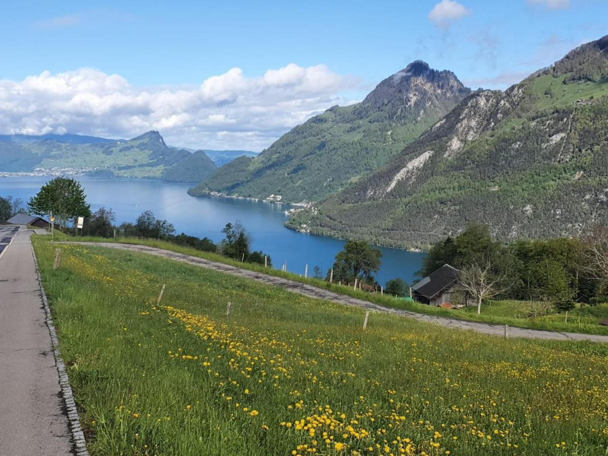 Appartement Seelewaermerli - Balsam Fuer Ihre Seele Seelisberg Esterno foto
