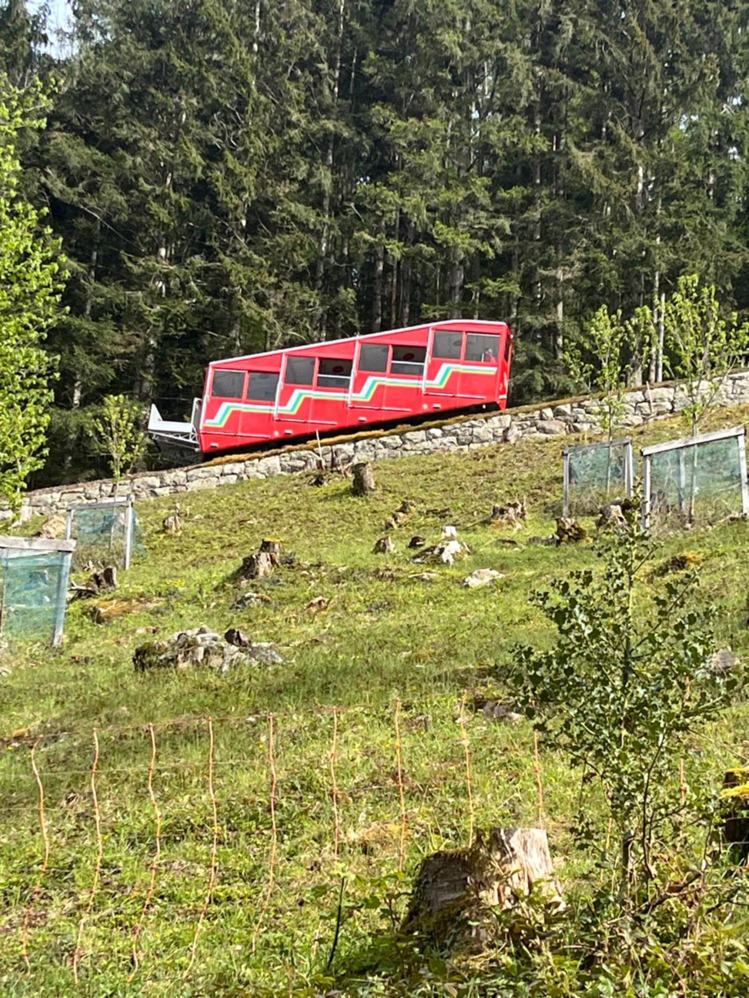 Appartement Seelewaermerli - Balsam Fuer Ihre Seele Seelisberg Esterno foto